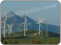 Windfarm near Tarifa