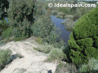 Do&ntilde;ana National Park