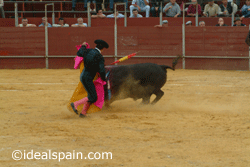 Bullfighting in Spain