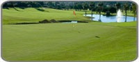 Los Naranjos Golf