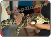 Crocodile Park Torremolinos