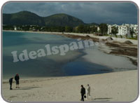 Alcudia beach