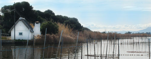 Albufera