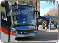 Buses in Denia