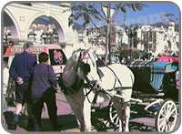 Fuengirola market