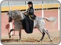 El Cartujano Horse Show