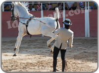 El Cartujano Horse Show
