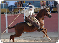 El Cartujano Horse Show