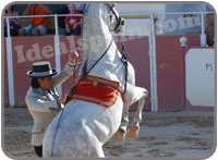 El Cartujano Horse Show