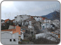 Castell de Castells