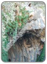 Caves of Benidoleig