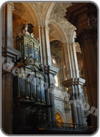 Malaga Cathedral