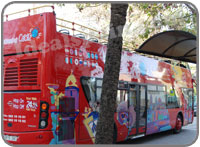 Tour bus Cadiz