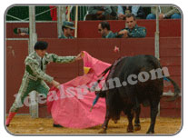 Bullfighting in Spain